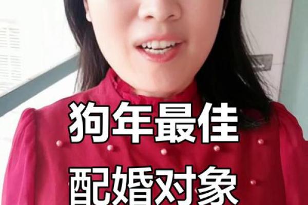 82年属狗的人二婚应该找什么属相最相配？