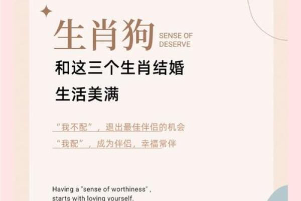 兔和狗属相婚配是否合适？解析传统生肖配对中的相合与相冲