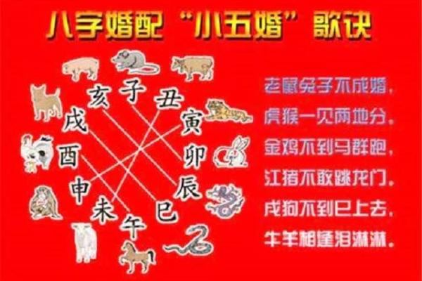 从生肖配对角度分析属虎与属猪的婚姻组合优缺点