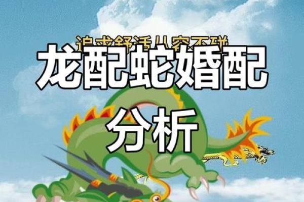 属蛇女人和什么属相的男人结婚最配且能幸福长久