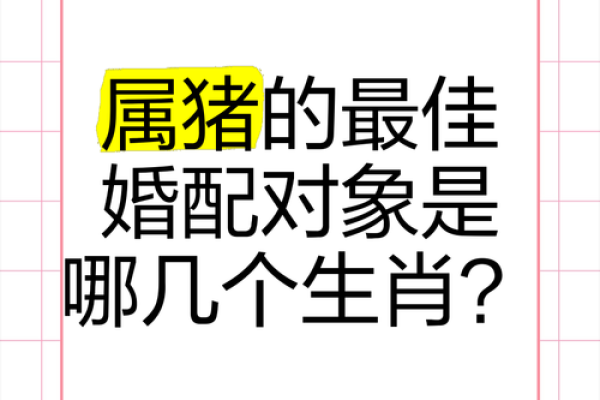猪和十二生肖中哪个属相最配婚姻幸福长久