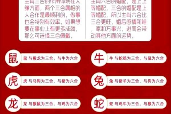 属狗的人婚姻配对最佳生肖是哪些，如何避免相冲相克？