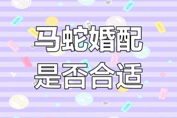 属蛇男和什么属相最配？揭秘最佳婚配组合与性格解析