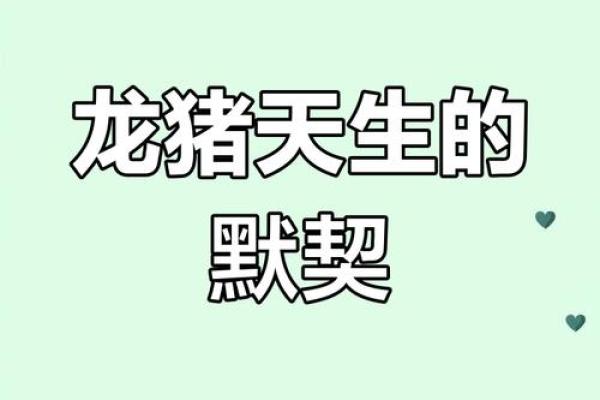 属龙和属猪的婚姻配对指数高吗？从生肖角度分析优缺点