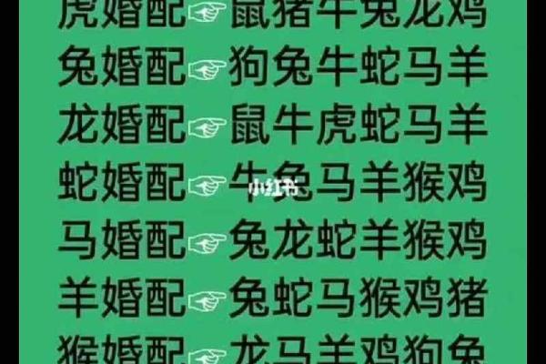 从生肖角度分析男猴女猪的婚配优缺点，最终会幸福吗