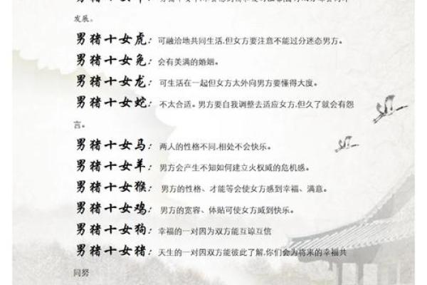 1995年属猪女的正缘何时出现，具体年份和月份解析
