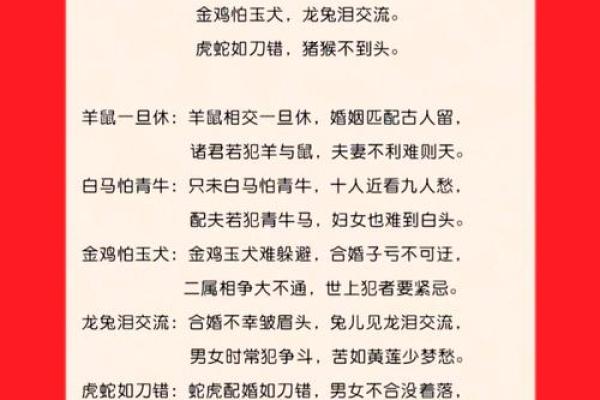 男鼠女马相差六岁婚姻配对详解，属相与年龄差距如何影响感情？