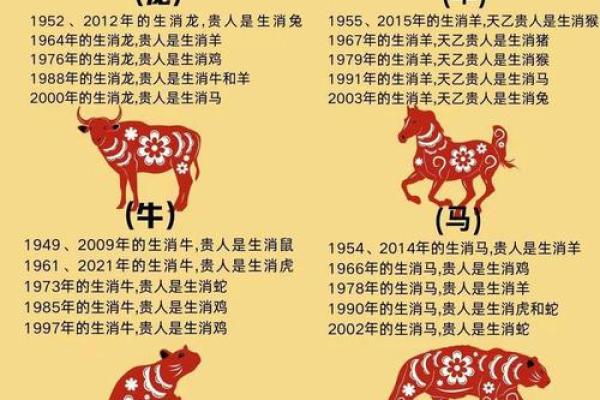 男狗女龙婚配是否相克？解析生肖配对中的性格冲突与化解方法