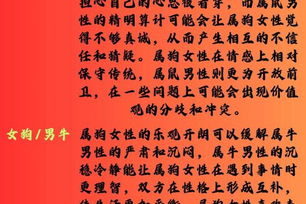 1982年属狗人的婚姻命运如何，是否一生幸福美满