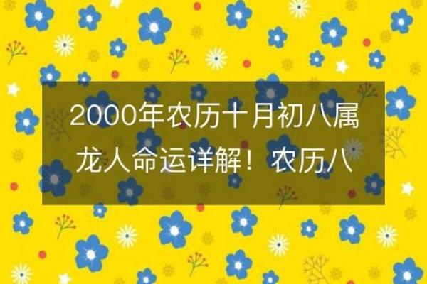 2000年属龙男孩最佳婚配年份与姻缘运势解析