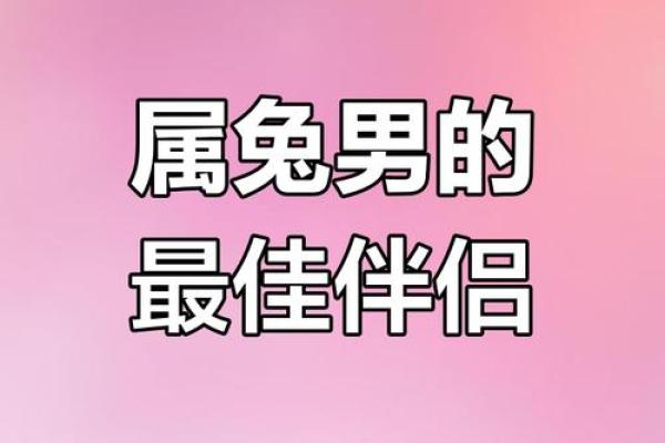 1999年属兔男最佳婚配属相和禁忌婚配属相详解