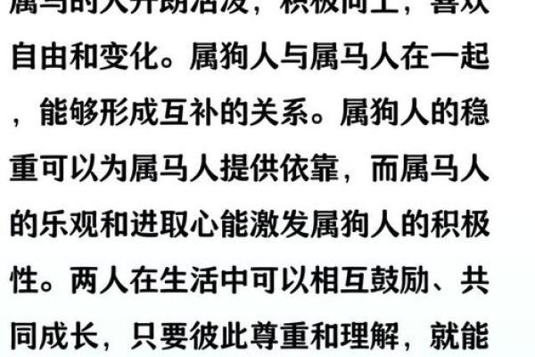 属狗的人与哪个生肖结婚最幸福长久，配对指数分析