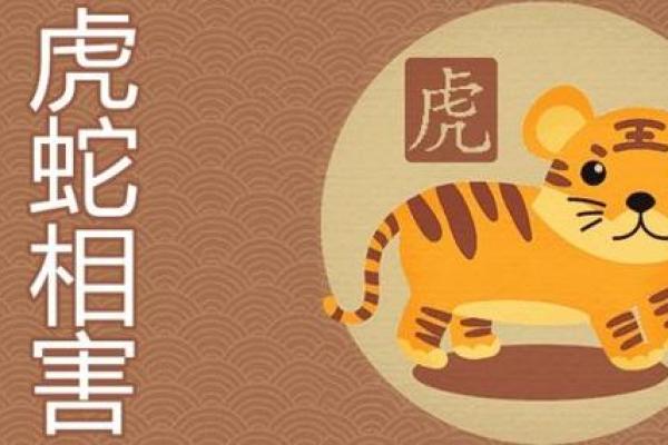 属虎和属蛇的婚姻配对是否合适？解析虎蛇生肖婚配的优缺点