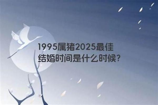 属狗女和属猪男的婚姻相配吗，性格合不合会不会经常吵架