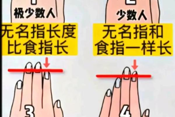 一般人是无名指长还是食指长 大多数人是无名指长还是食指长