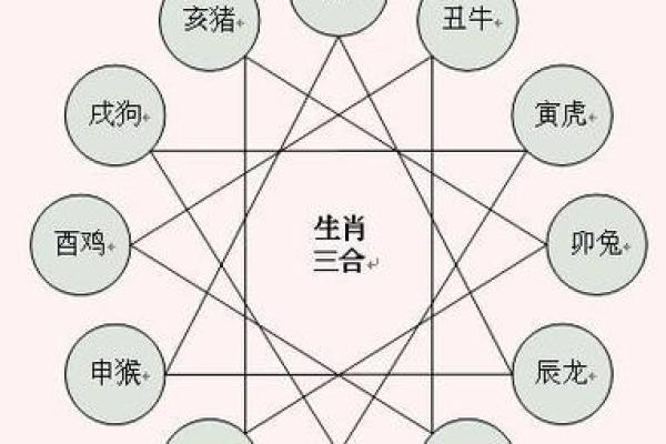 生肖龙和猴在一起合作共事是否真的会相冲相克？