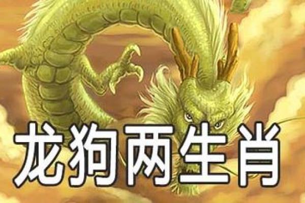 生肖龙和猴在一起合作共事是否真的会相冲相克？
