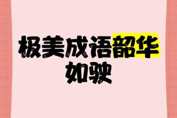 韶光似箭着个成语最适合用来形容哪个生肖的性格特点？