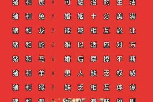 男属猪女属狗婚配是否相合？解析生肖配对中的性格与运势关键点