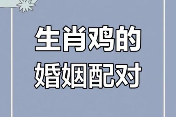 属鼠跟属鸡的合不合 鼠与鸡相生还是相克