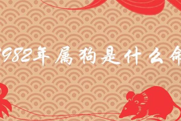 属狗的人在2025年具体年龄是多少岁，如何计算虚岁和周岁？