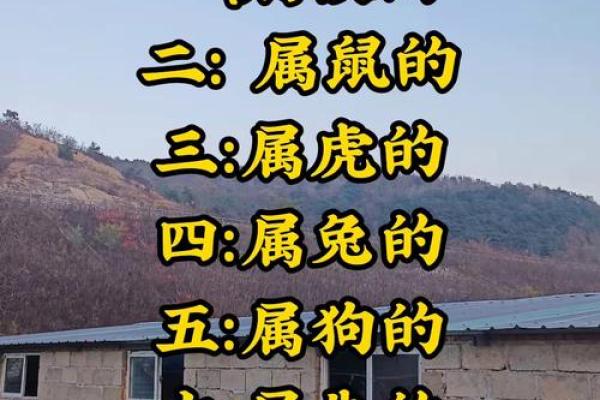 寸草春晖着个成语具体指的是哪一个生肖动物呢？