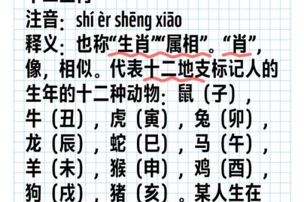 寸草春晖着个成语具体指的是哪一个生肖动物呢？