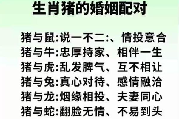 属猴和属猪的婚姻相配吗？看看生肖配对怎么说