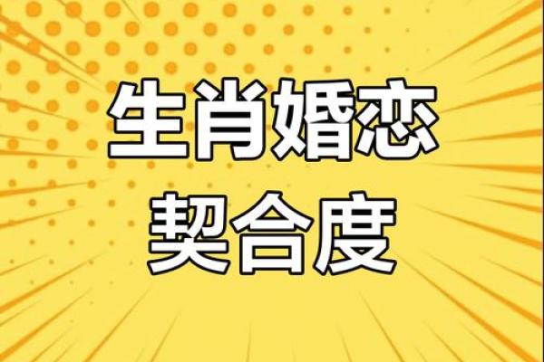 生肖与星座配对(生肖星座配对免费)