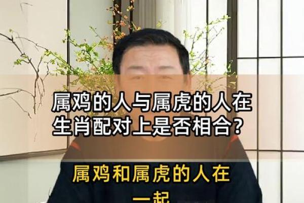 属鸡女性婚姻配对最佳生肖解析，命中注定丈夫的性格与命运特征