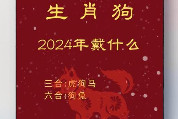 从生肖配对角度探讨哪些生肖最容易被属狗的人吸引