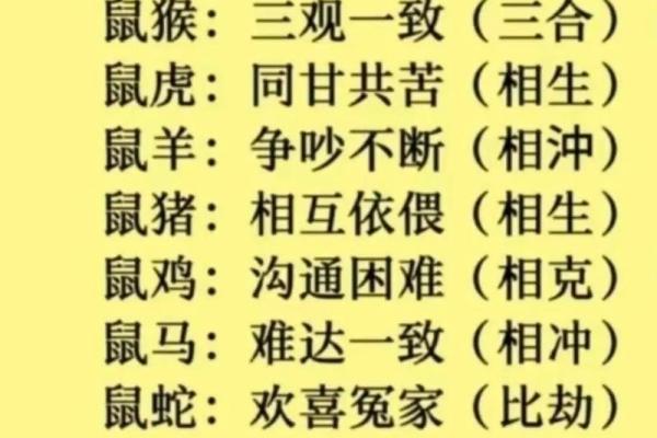 鼠虎属相婚配好吗 鼠虎婚配怎么样