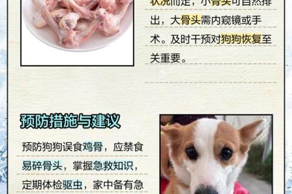 鸡和狗一起养会打架吗？如何避免宠物冲突确保双方安全