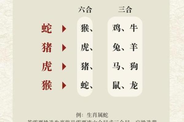 从生肖配对角度分析猴和猪在一起是否对事业财运有不利影响