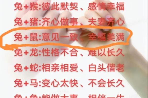 属鼠的人与哪些生肖婚配能够获得最和谐的婚姻关系