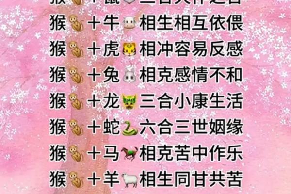 属鼠的人与哪些生肖婚配能够获得最和谐的婚姻关系
