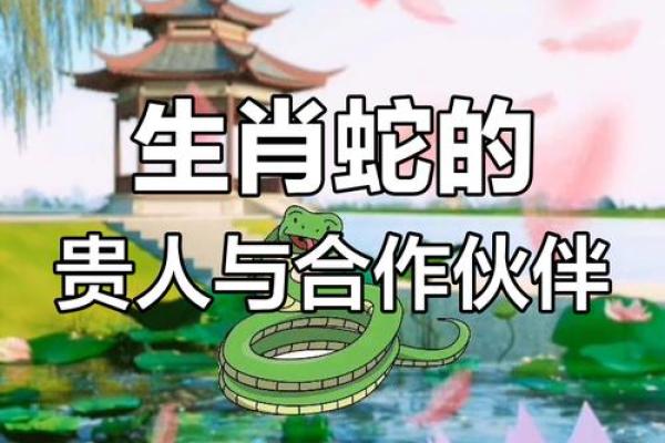 男属蛇的最佳婚配属相是哪些生肖呢