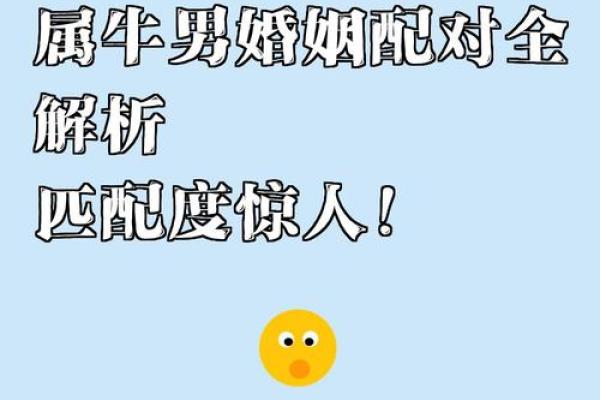 属牛的人最适合与哪些生肖配对婚姻会幸福