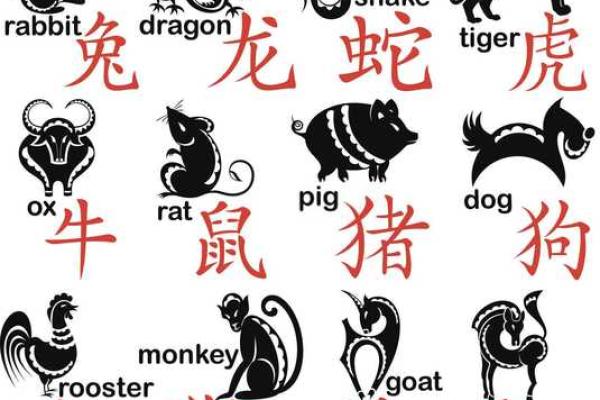 男虎女蛇属相结合在婚姻中会有哪些潜在的矛盾和冲突