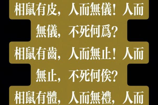 ‌大街小巷打一生肖 → 鼠‌（鼠窜街巷，无孔不入）