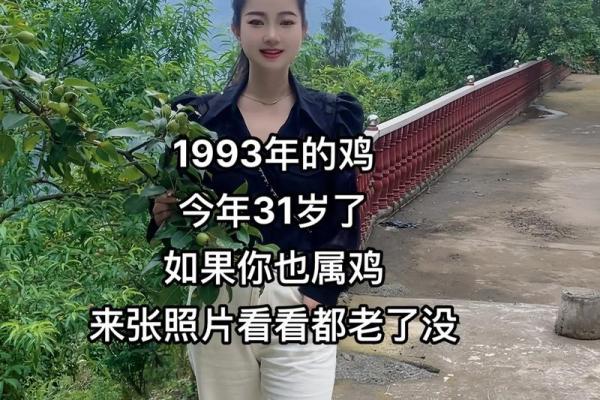 1993年属鸡人第二次婚姻在哪一年最合适呢