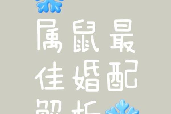 妈妈属马女儿属鼠合不合 母亲属马女儿属鼠相克怎样化解