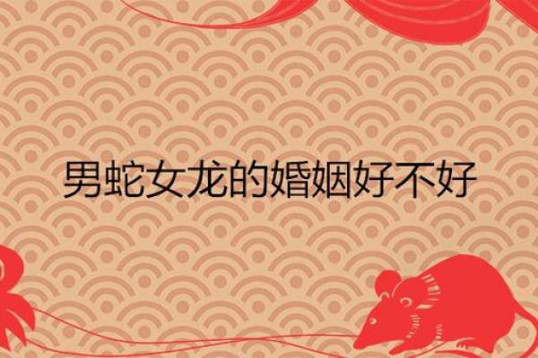 2000年龙男与2001年蛇女结婚运势如何?是否属于上等婚配解析 2000年龙男与2001年蛇女结婚运势如何?是否属于上等婚配解析