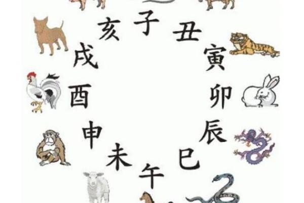 十二生肖婚配指南：属虎和属猴的夫妻如何化解性格冲突？