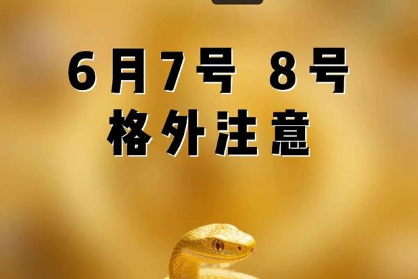 1977属蛇大忌颜色 77年属蛇什么颜色聚财 1977属蛇大忌颜色 77年属蛇什么颜色聚财