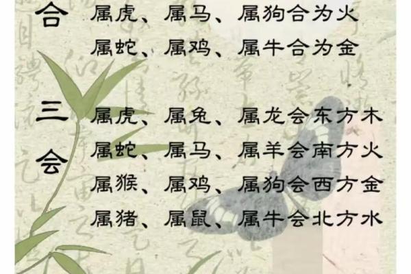 91年属羊的和什么属相最配？最佳婚配属相解析