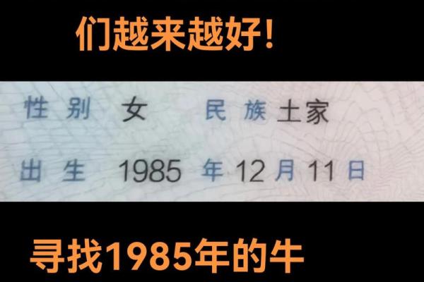 1985年属牛第二次婚姻什么时候出现正缘和最佳时机