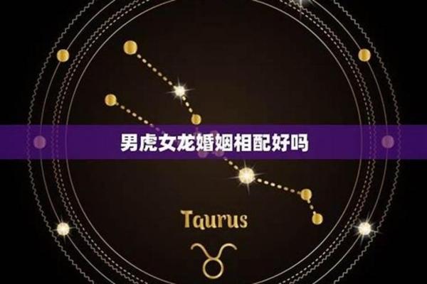 男虎和女龙的属相合不合 男虎女龙的属相合不合婚姻