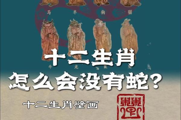 属蛇的生肖和哪个属相在一起最合得来求分析
