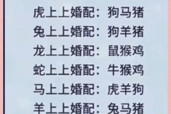 鸡和猴属相婚配是否相合？解析生肖配对中的相生相克关系